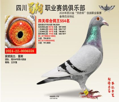 ĴĹظ554