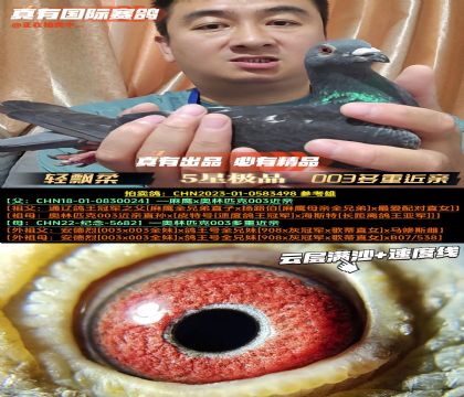 Ʈٶۡƥ003ؽ