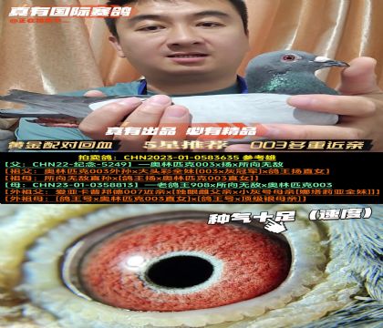 ƽԻѪ003ؽ