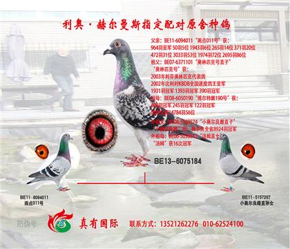 游
