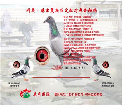 游