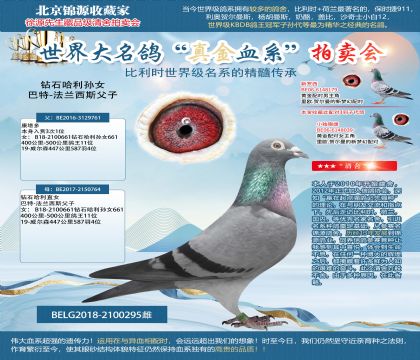 巴特-法兰西斯父子-钻石哈利孙女