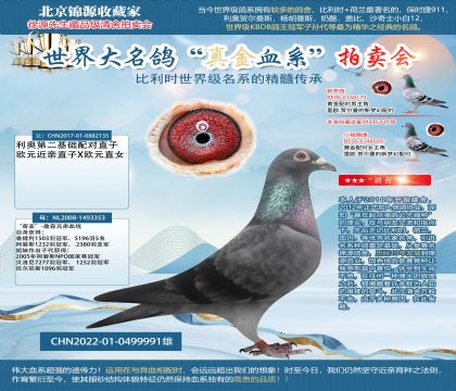 利奥X詹森22-0499991雄