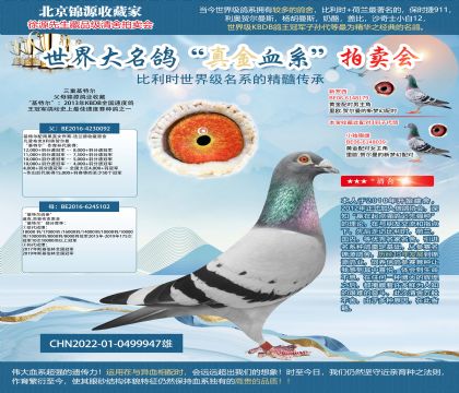 三重基特尔22-0499947雄