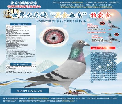 沙奇士.明诺吉奥帝原舍 -“灰天才”X ”塞萨洛尼基小姐2号