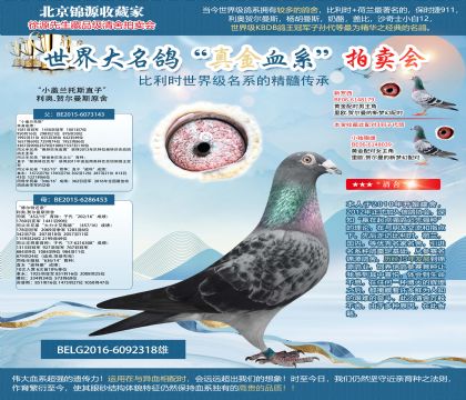 利奥原舍-“小盖兰托斯直子”