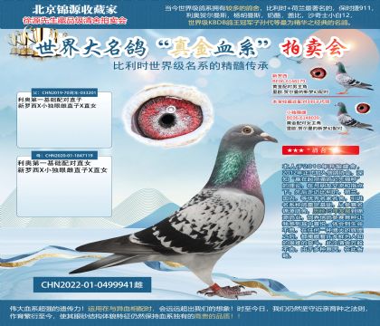 利奥第一基础配对双重回血22-0499941雌