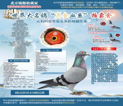 迪克.范登布克原舍-“特殊奥林匹克652”