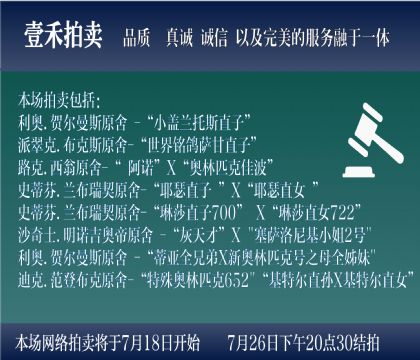 拍前建议阅读此说明