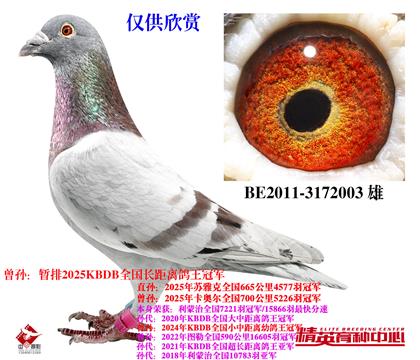 ֮