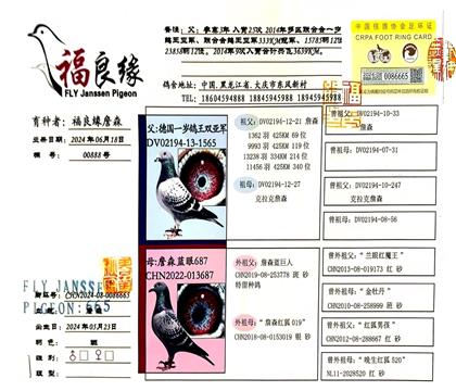 Ѫͳ鱳