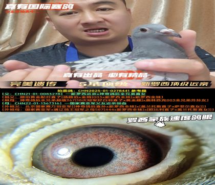 Ŵ