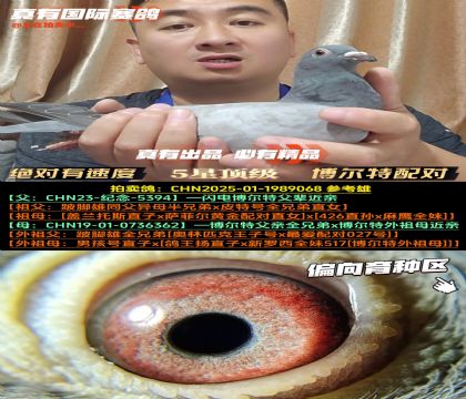 ٶȡ粩