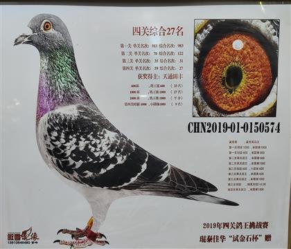 ӥ5