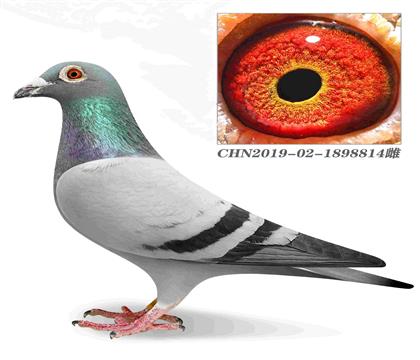 ҡ698Ů