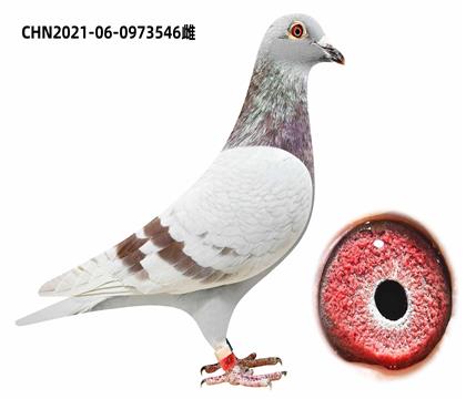 ضֱXúšֱŮ