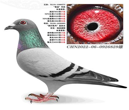 Ǳȡ³ϡXšֱŮ