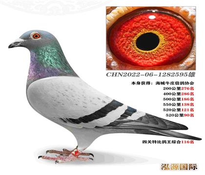 52090  698׻Ѫ