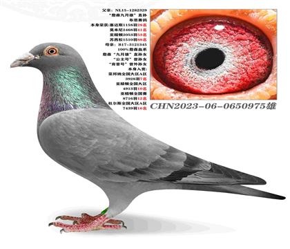 ղɭֱۡXղɭֱۡŮ