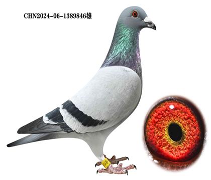 098ֱX240ֱŮ