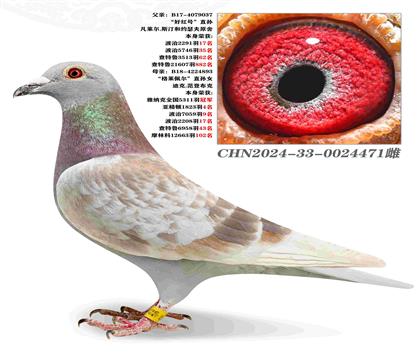 úšֱXֱŮ