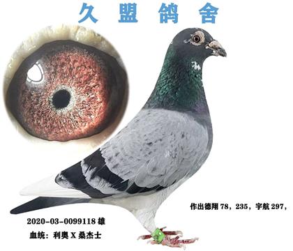 久盟安峥