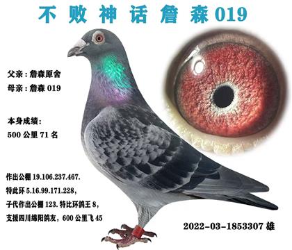 超级重点推荐 詹森019