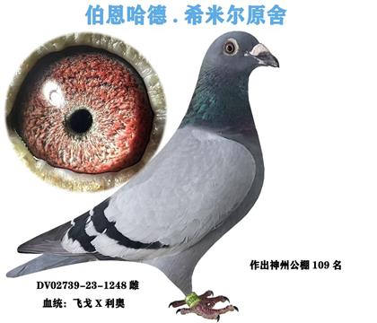 伯恩哈德。希米尔原舍
