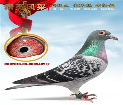 ƽԴơ򸣾261