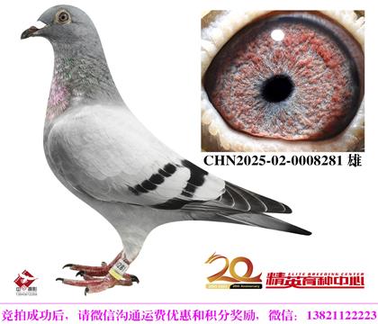 240峬ֱ