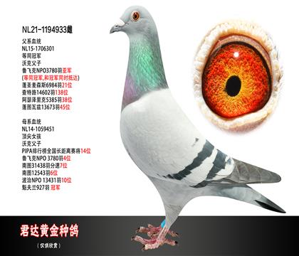 ĸͼ
