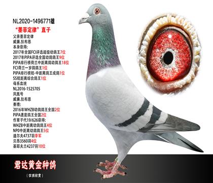 ĸͼ