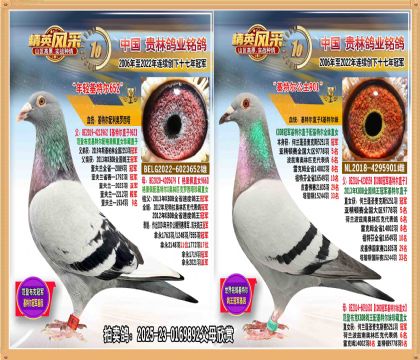 5251ھֱŮ.ضֱضŮ