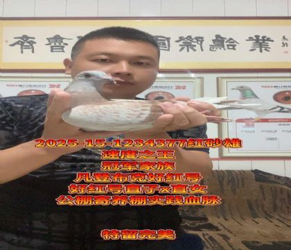 冠军家族!凡登布克好红号直子x直女
