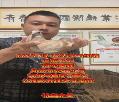 冠军家族!凡登布克好红号直子x直女