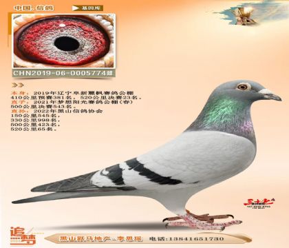 ָ 㹫23