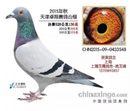 ָ  ׿蹫136