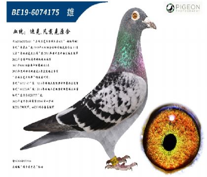 δ