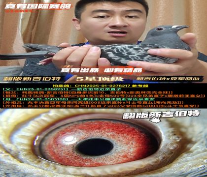 ¼ء¼xǾѪ