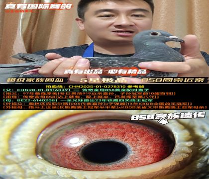 Ѫ858ͬڽ׻Ѫ