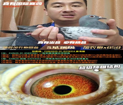ũڻѪũx858