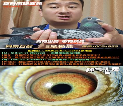 ͬڻ䡷ӥx003x858