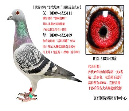 ũ111ֱŮ