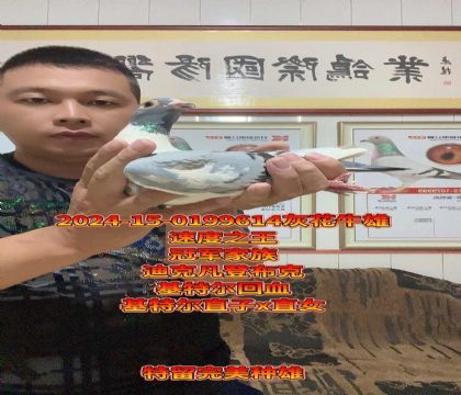 速度王!凡登布克基特尔直子x直女回血种雄