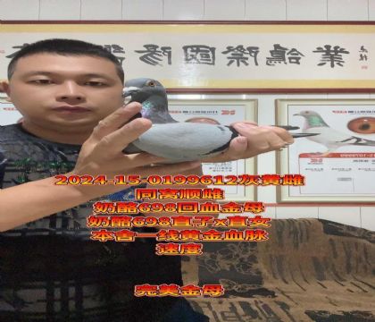 奶酪698回血金母!奶酪698直子x直女