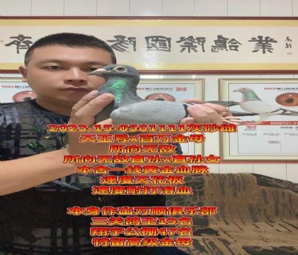 特别推荐!所向无敌天王号x百万金母