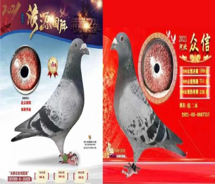拍卖为一对价格,作出165.189名
