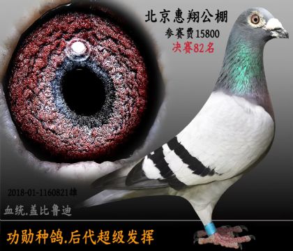 Ǳ