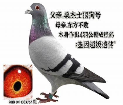 񽱸븸ɣʿxǹŽ