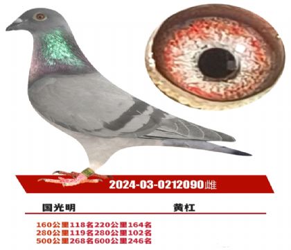 600246